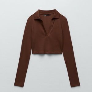 Zara Brown Collared Crop Top